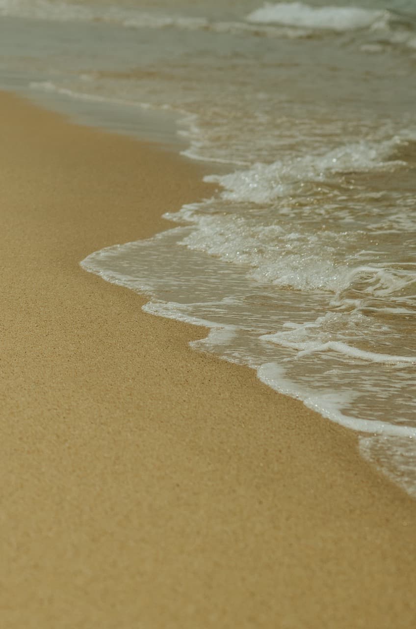 Превью Sri Lanka 2022